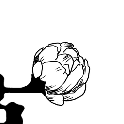 user-image